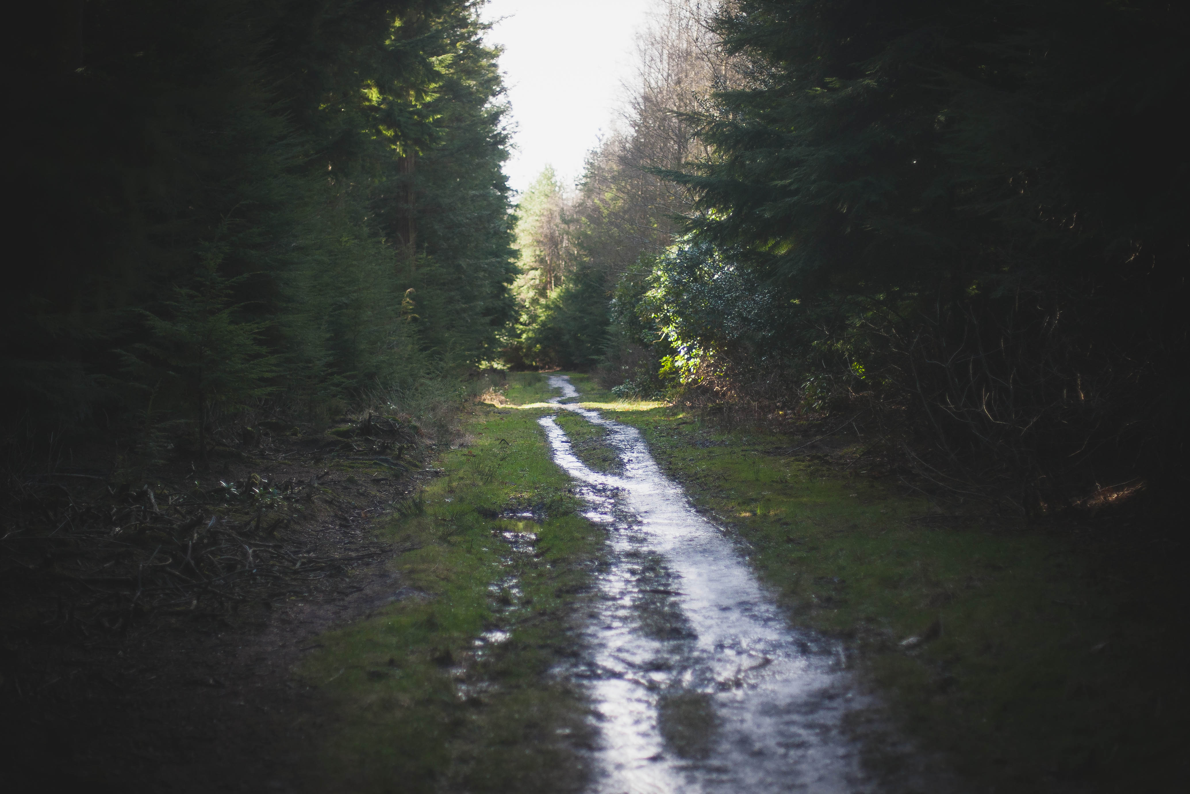 Jennie Colbourne Photography -10