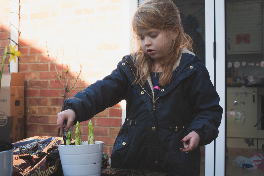 Jennie Colbourne Photography -6