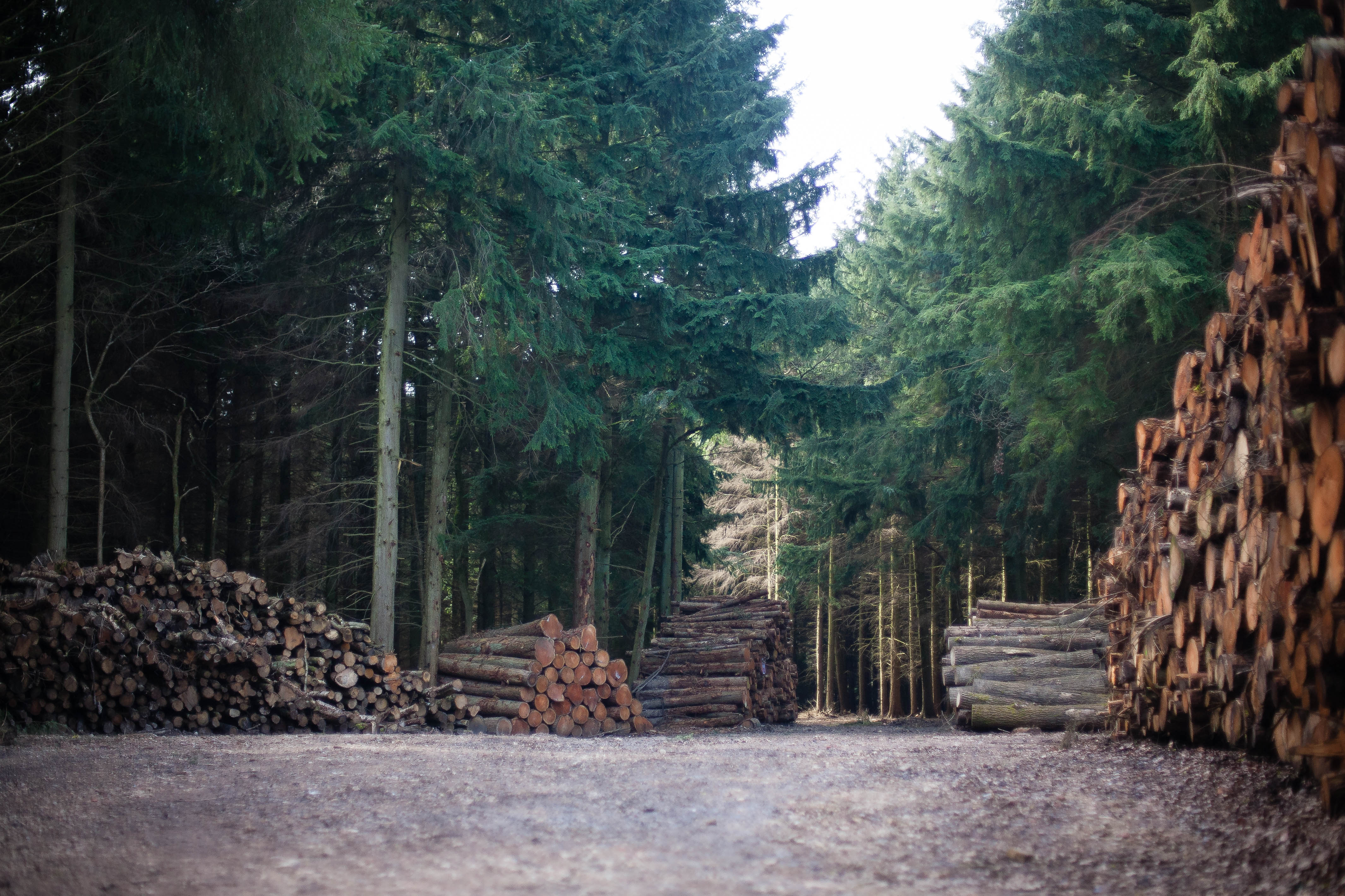 Jennie Colbourne Photography -1-4